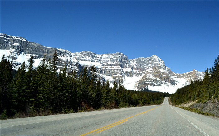 A typical view driving the Icefields Parkway